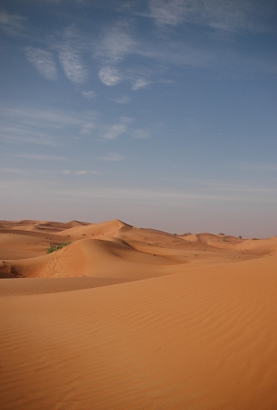 e0066474_24342.jpg