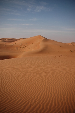 e0066474_255816.jpg