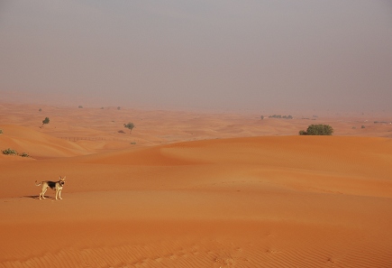 e0066474_271453.jpg