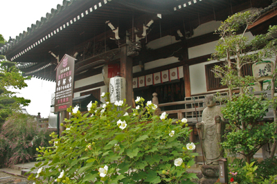 【求子・安産】　子安山　帯解寺_a0045381_2217581.jpg