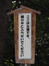 c0105785_1012465.jpg