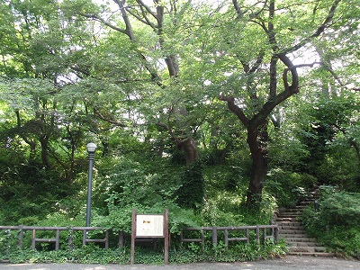 c0105785_1063240.jpg