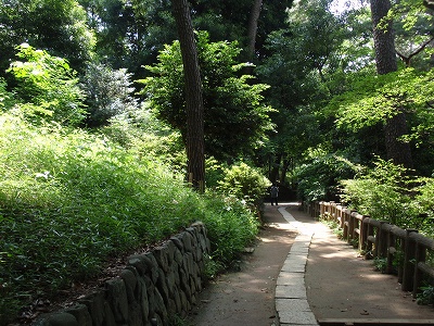 c0105785_1175999.jpg