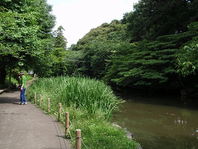 c0105785_845536.jpg