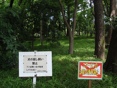 c0105785_946124.jpg