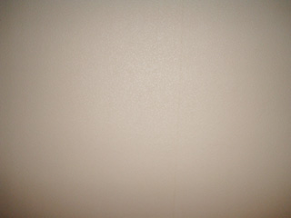 c0089792_518859.jpg