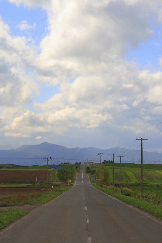 北海道（2008.09.24-28）　Part28　北星山町営ラベンダー園_d0147393_6264790.jpg