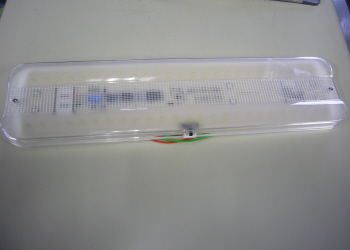 c0125996_723483.jpg