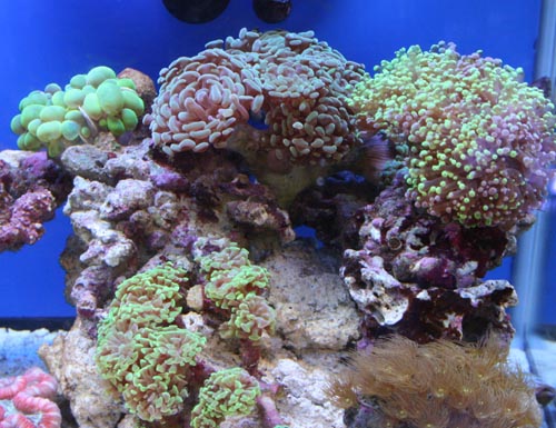c0165807_20141597.jpg