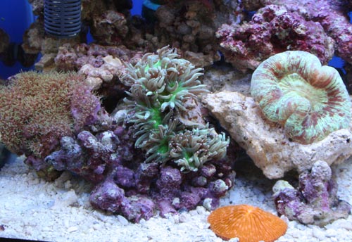 c0165807_20154823.jpg