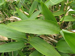 f0077807_15595.jpg