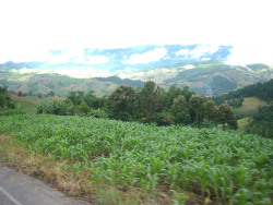 f0116707_14305144.jpg
