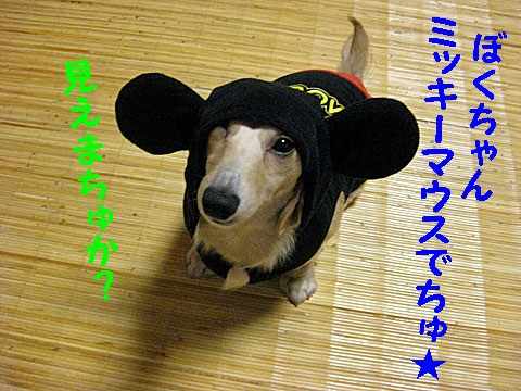 c0108112_0552841.jpg