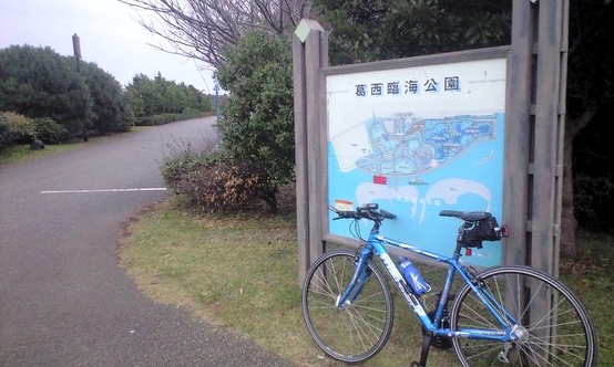 今日の朝駆け♪（自転車）　＠2008/11/08_f0178412_11341047.jpg