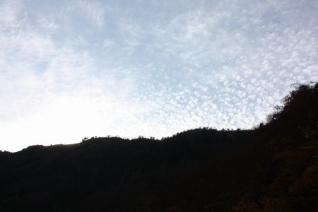 e0132713_23343967.jpg