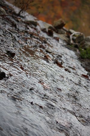 e0132713_23382275.jpg