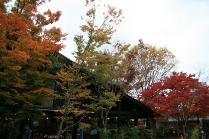 Autumn in Yuhuin_e0029115_8532482.jpg