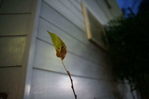 a0068424_19262328.jpg