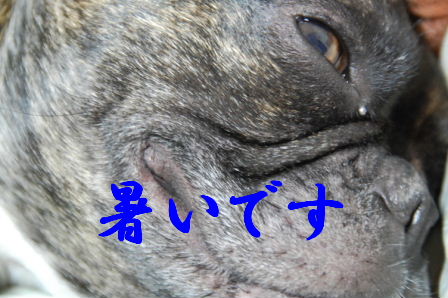 c0130324_04659.jpg