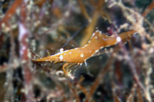 b0044726_140971.jpg
