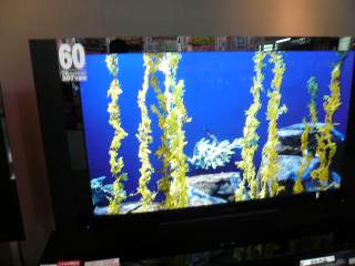 プラズマTV KURO_b0054727_11111060.jpg