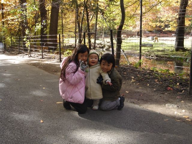 d0010531_20586.jpg