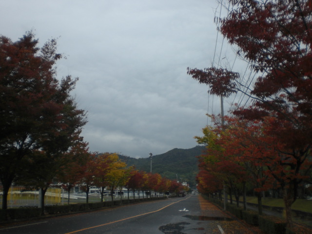 b0152548_14371644.jpg