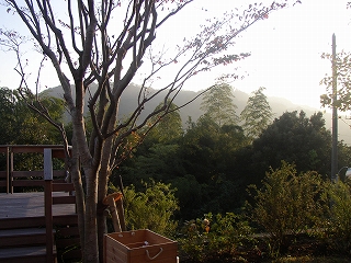 a0068350_3502454.jpg