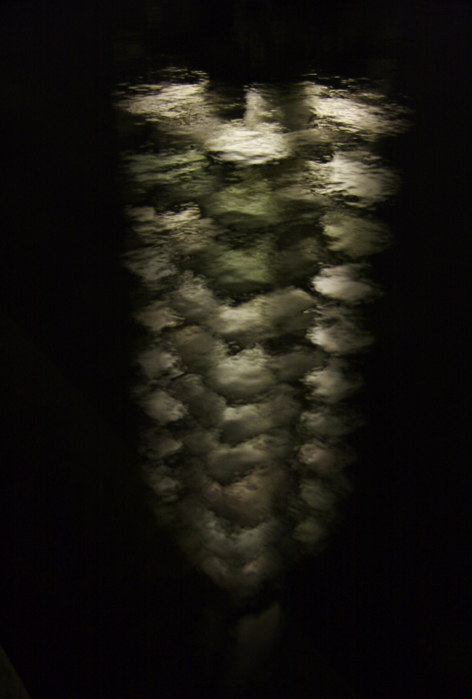 d0101050_954140.jpg