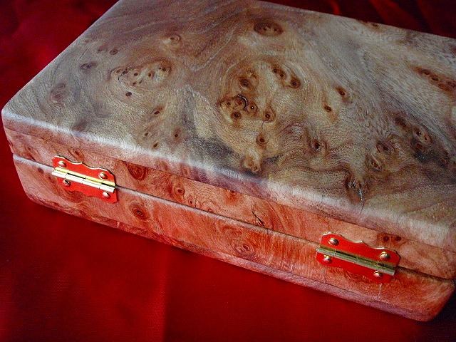 c0097652_1728326.jpg