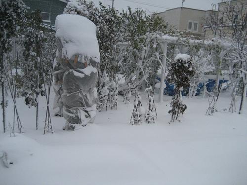 １１月８日　　猛吹雪・・・と飾ったリース_a0075455_7444235.jpg