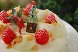 クリスマスケーキのご予約１２日より開始です♪_c0085658_21261736.jpg