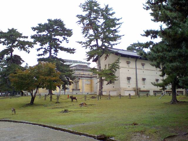 d0125059_16511331.jpg