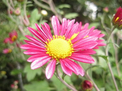 e0139859_15403448.jpg
