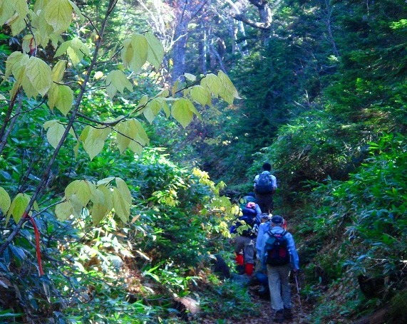 ＜200８年１０月１８～１９日＞Ｆツアー・０８秋の山旅「岩菅山＆白砂山」：（その２）_c0119160_20313572.jpg