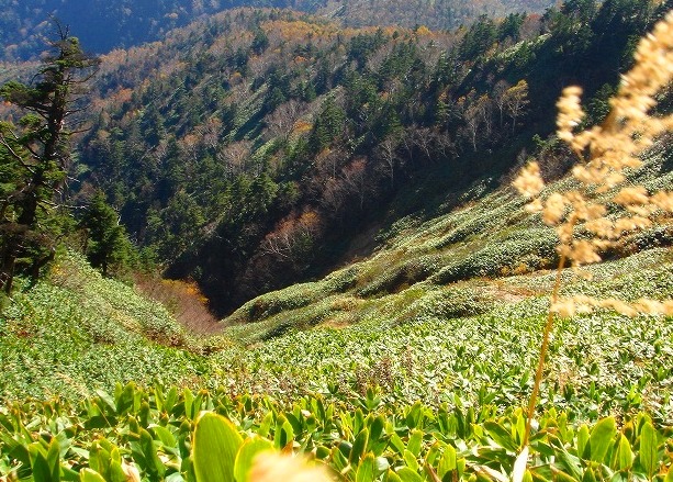 ＜200８年１０月１８～１９日＞Ｆツアー・０８秋の山旅「岩菅山＆白砂山」：（その２）_c0119160_21362056.jpg