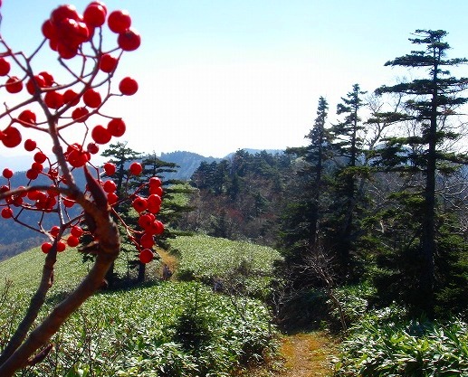 ＜200８年１０月１８～１９日＞Ｆツアー・０８秋の山旅「岩菅山＆白砂山」：（その２）_c0119160_2143305.jpg