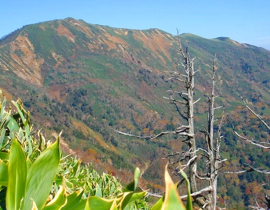 ＜200８年１０月１８～１９日＞Ｆツアー・０８秋の山旅「岩菅山＆白砂山」：（その２）_c0119160_2143760.jpg