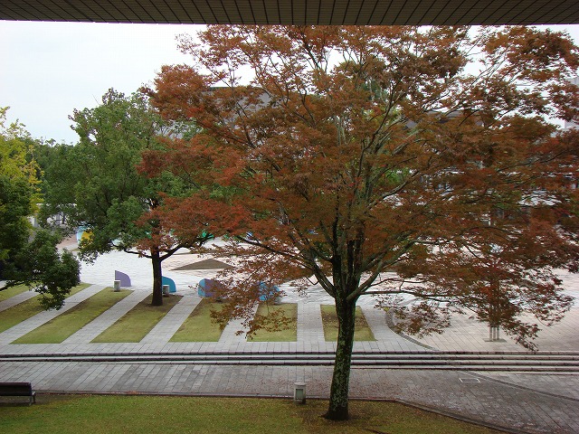 b0135573_19341613.jpg