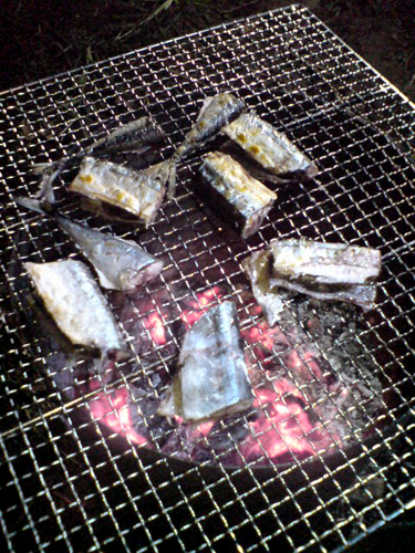 c0044673_2004818.jpg