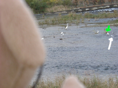 c0158573_1037129.jpg