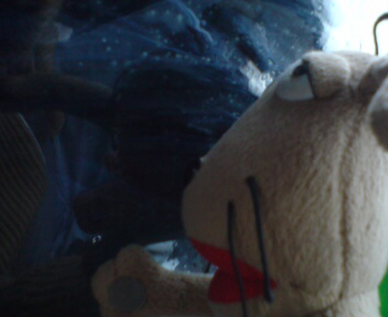 c0158573_1713161.jpg
