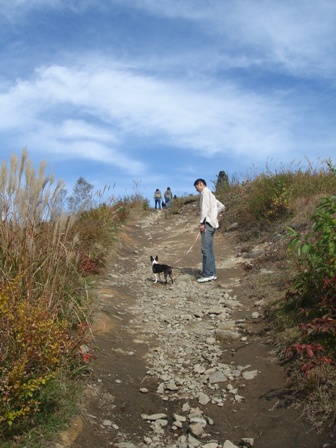 e0154179_2327339.jpg
