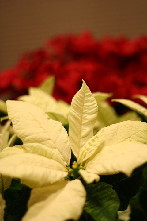 c0129389_03726100.jpg