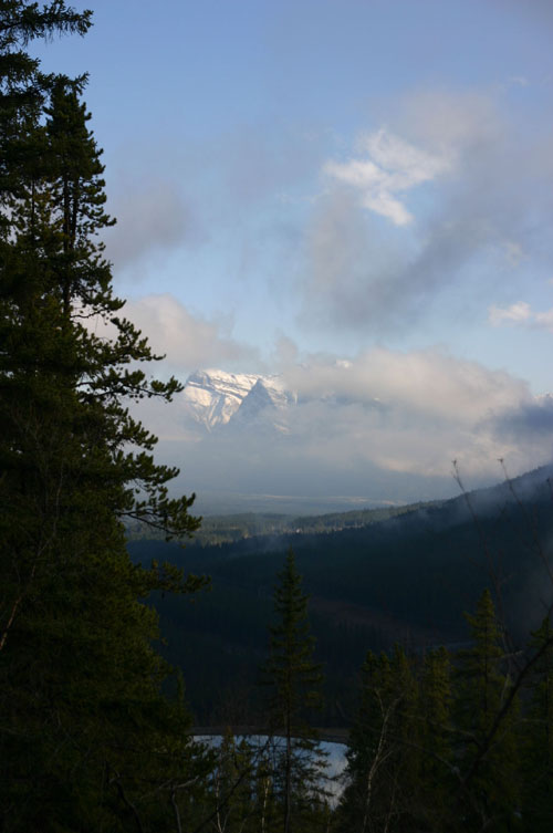 Grassi Lake Trail 最終編_d0003991_16474775.jpg