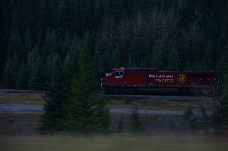 d0003991_17111622.jpg