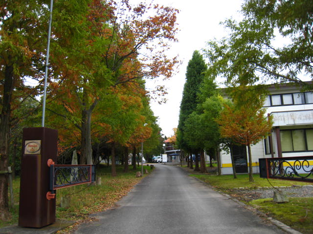 d0121300_2157539.jpg