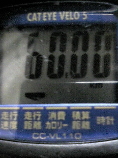 c0100901_314810.jpg