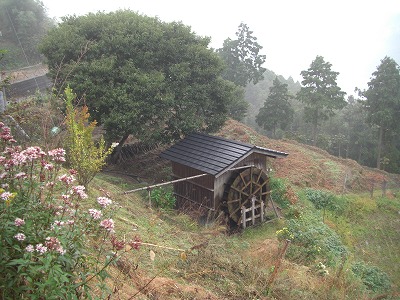 c0125501_21521532.jpg