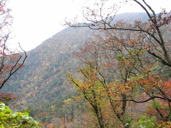 f0187402_22483219.jpg